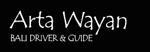 Arta Wayan Bali Driver & Guide